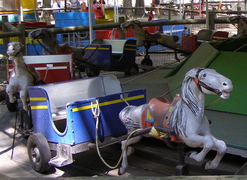 Deer Forest - Photos From Old Park Website (newer photo)